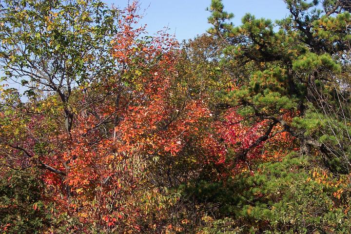 fall 037.jpg